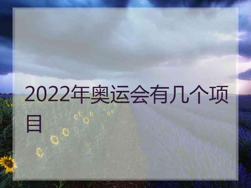 2022年奥运会有几个项目