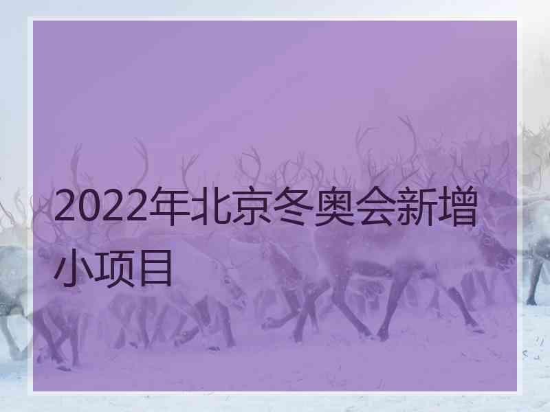 2022年北京冬奥会新增小项目