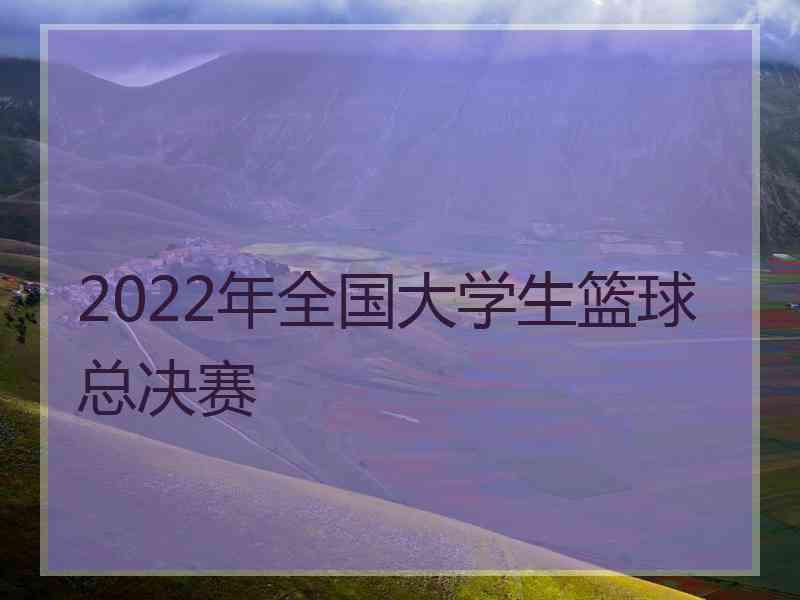 2022年全国大学生篮球总决赛