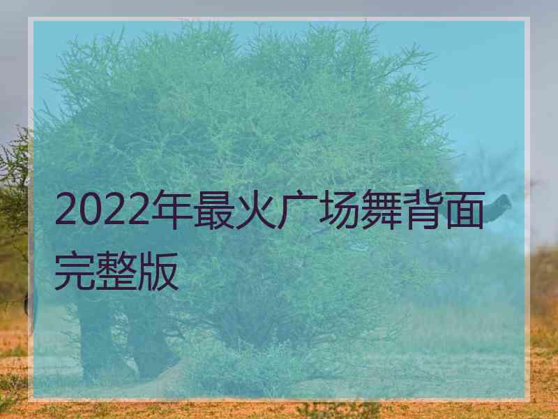 2022年最火广场舞背面完整版