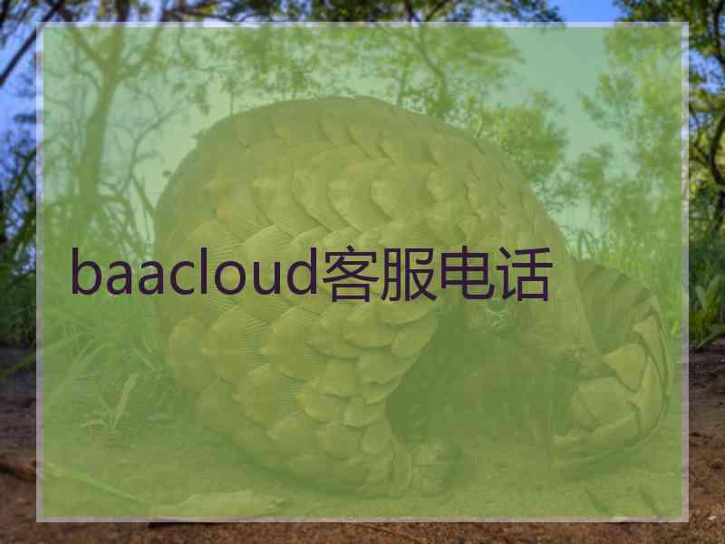 baacloud客服电话