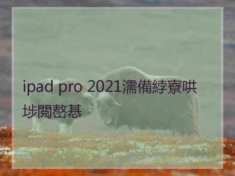 ipad pro 2021濡備綍寮哄埗閲嶅惎