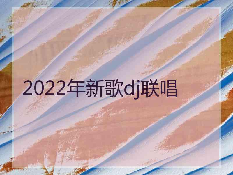 2022年新歌dj联唱