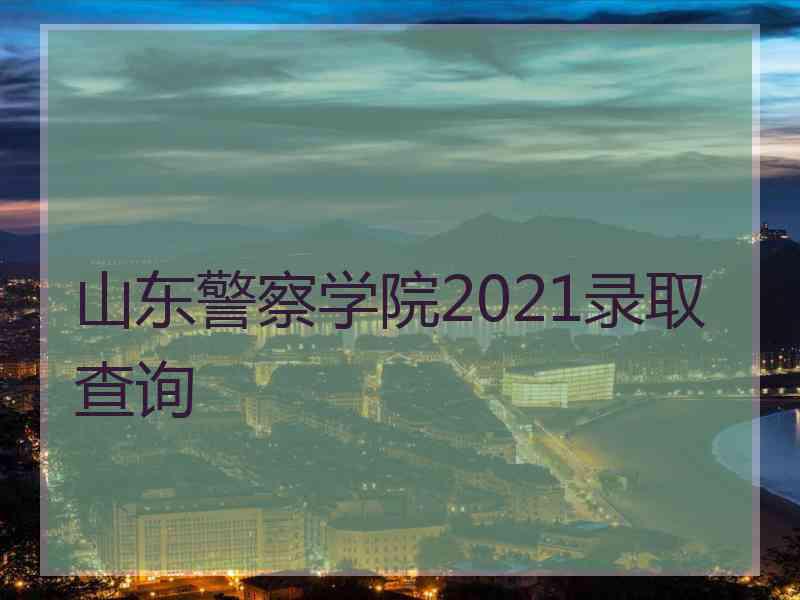 山东警察学院2021录取查询