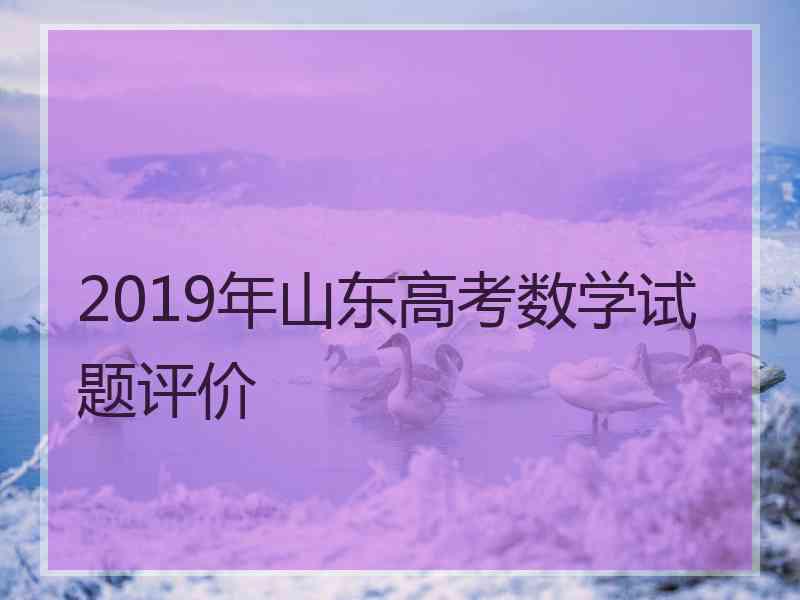 2019年山东高考数学试题评价