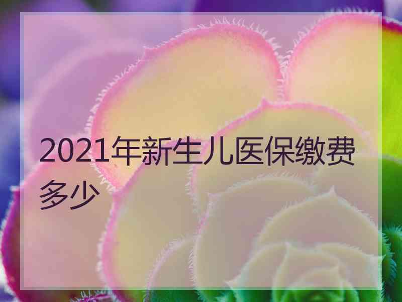 2021年新生儿医保缴费多少