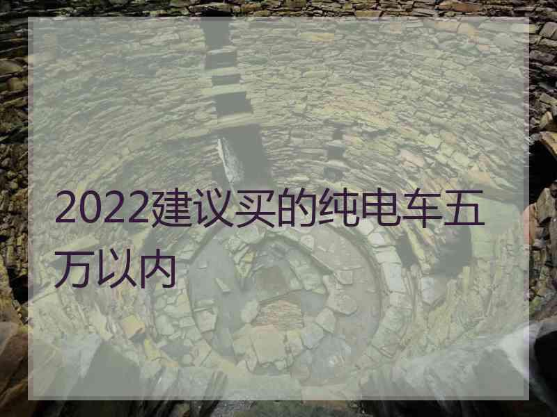 2022建议买的纯电车五万以内