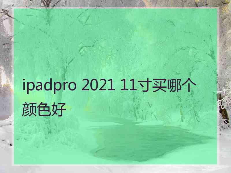 ipadpro 2021 11寸买哪个颜色好