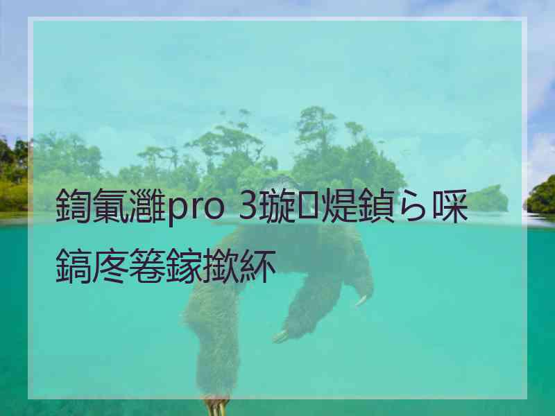 鍧氭灉pro 3璇煶鍞ら啋鎬庝箞鎵撳紑