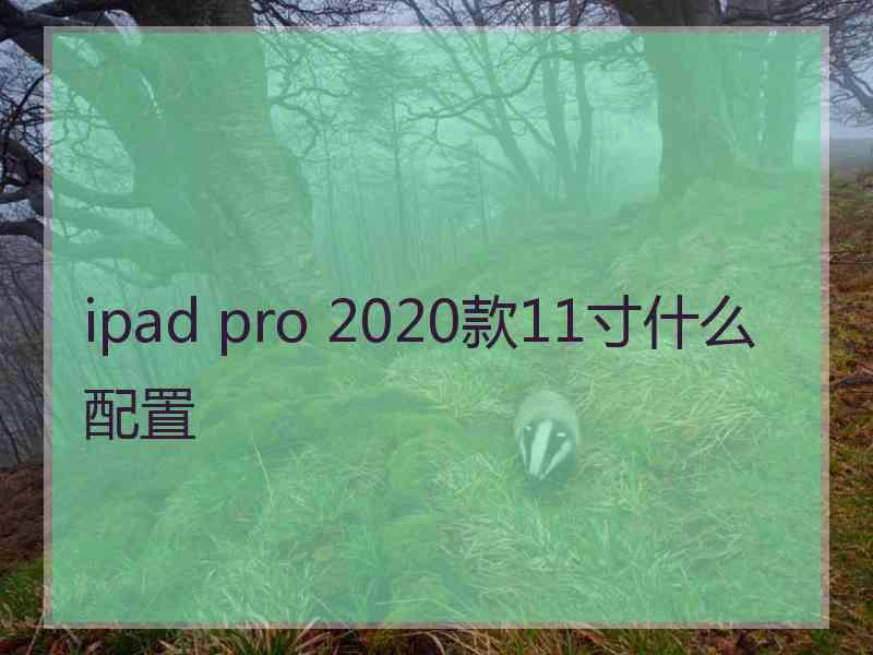 ipad pro 2020款11寸什么配置