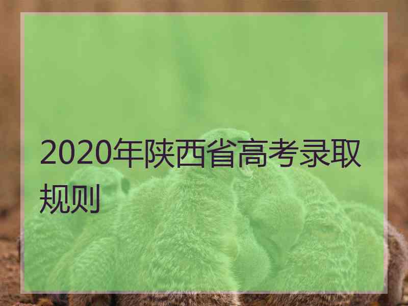 2020年陕西省高考录取规则