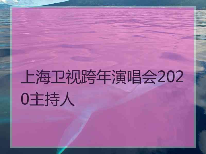 上海卫视跨年演唱会2020主持人