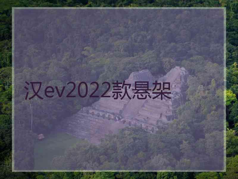 汉ev2022款悬架