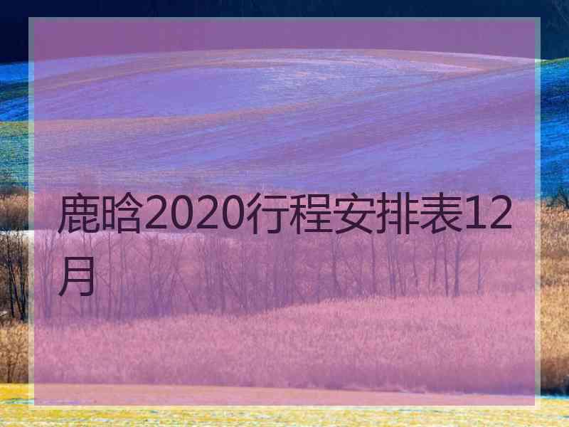 鹿晗2020行程安排表12月