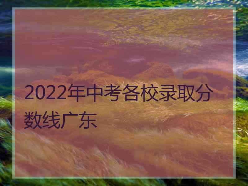 2022年中考各校录取分数线广东