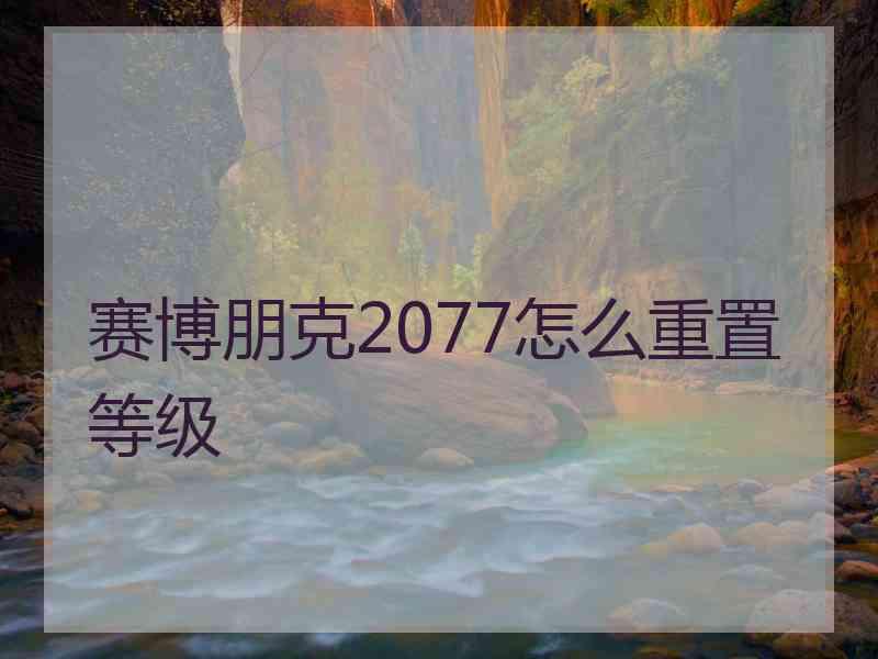 赛博朋克2077怎么重置等级