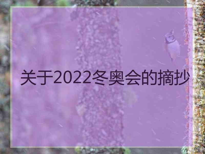 关于2022冬奥会的摘抄