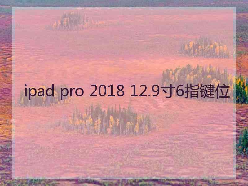 ipad pro 2018 12.9寸6指键位