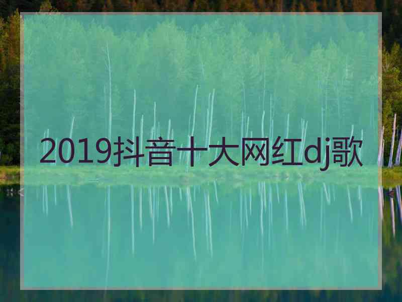 2019抖音十大网红dj歌