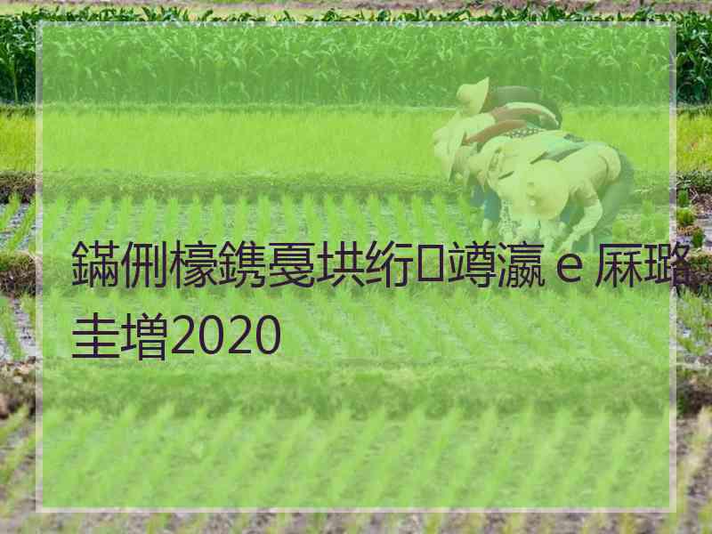 鏋侀檺鎸戞垬绗竴瀛ｅ厤璐圭増2020