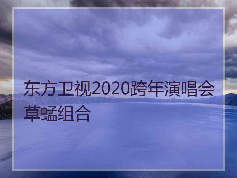 东方卫视2020跨年演唱会草蜢组合