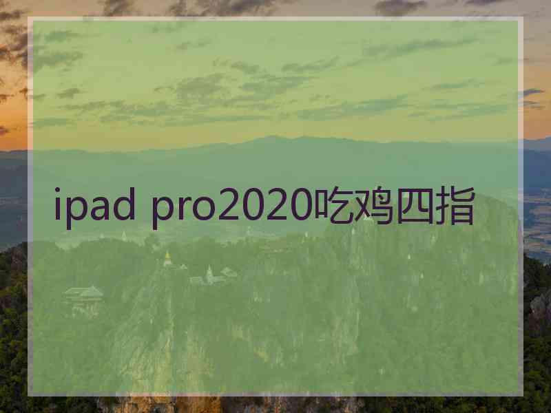 ipad pro2020吃鸡四指