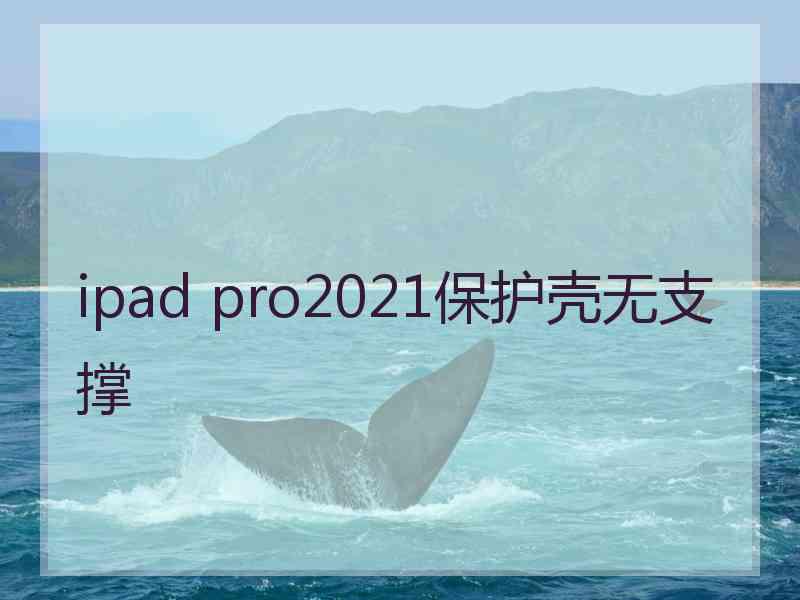 ipad pro2021保护壳无支撑