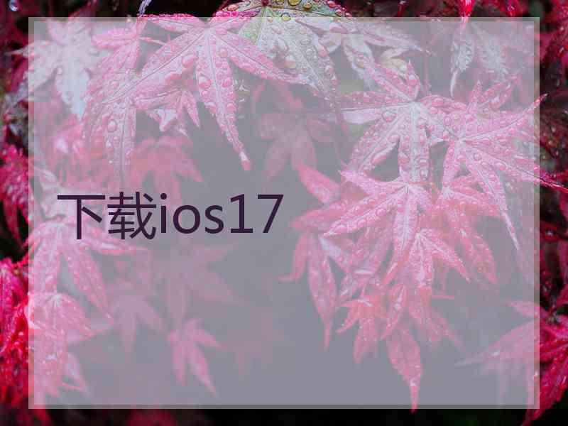 下载ios17