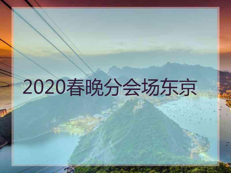 2020春晚分会场东京