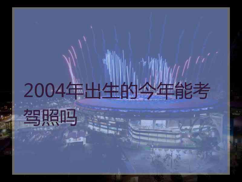 2004年出生的今年能考驾照吗