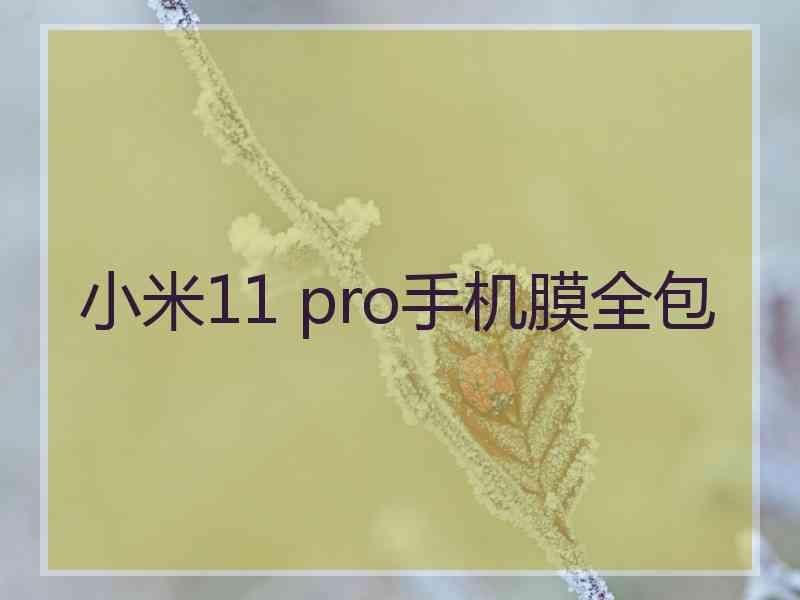 小米11 pro手机膜全包