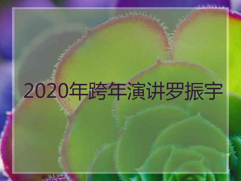 2020年跨年演讲罗振宇