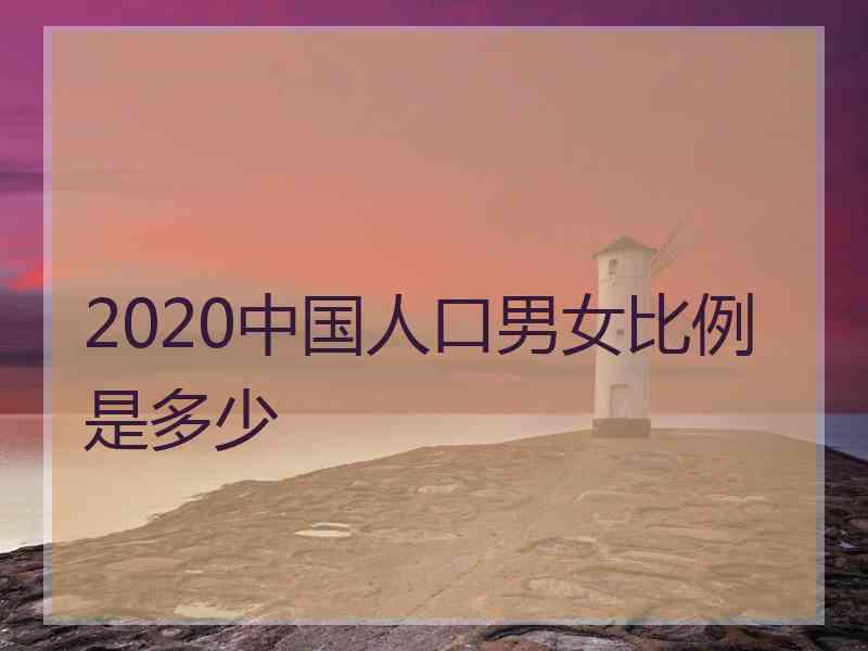 2020中国人口男女比例是多少