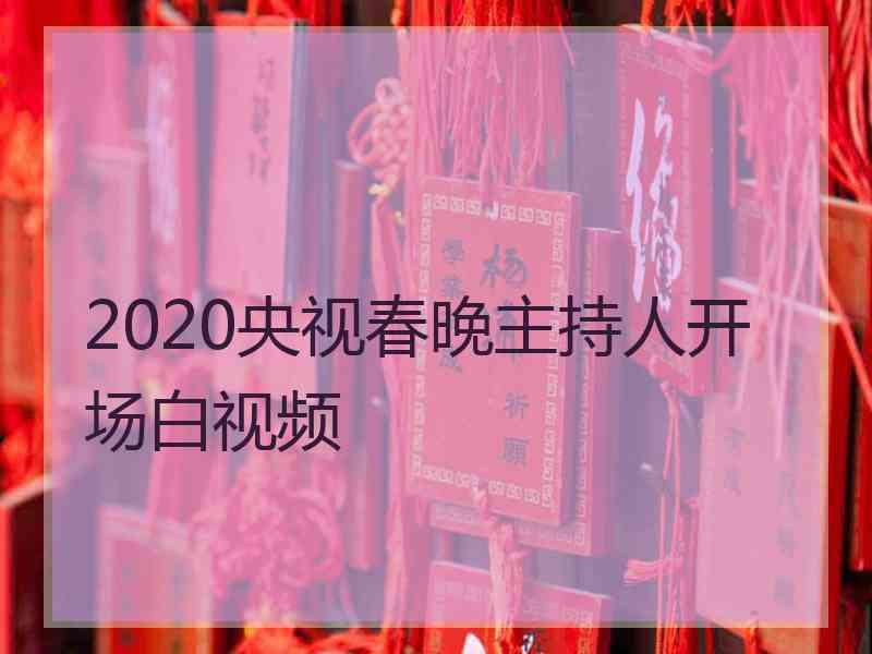 2020央视春晚主持人开场白视频