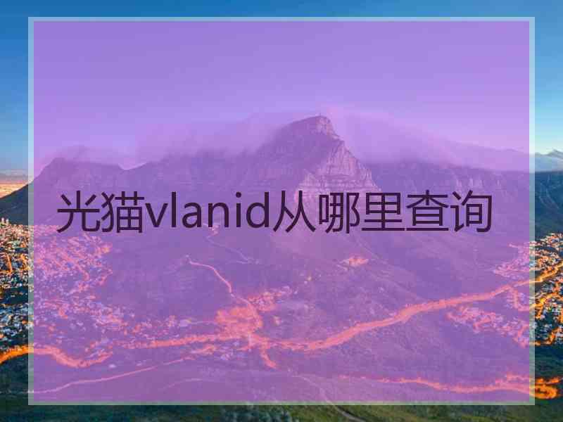 光猫vlanid从哪里查询