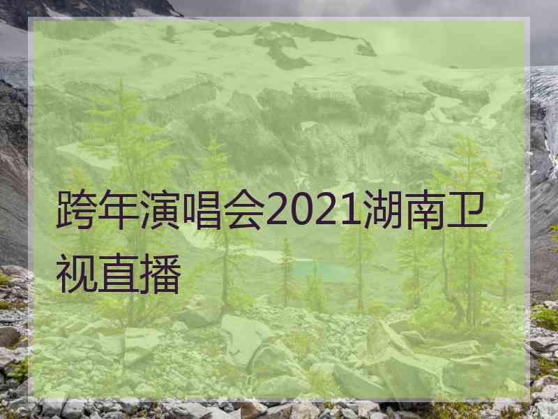 跨年演唱会2021湖南卫视直播