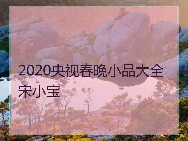 2020央视春晚小品大全宋小宝