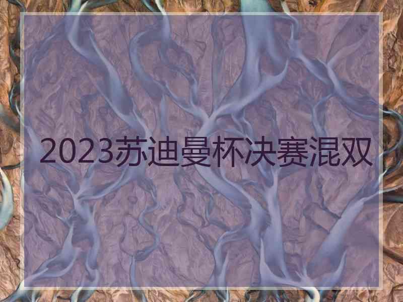 2023苏迪曼杯决赛混双