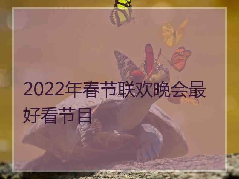 2022年春节联欢晚会最好看节目