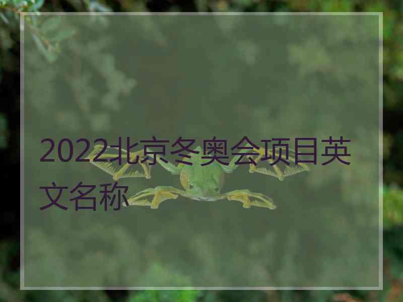 2022北京冬奥会项目英文名称