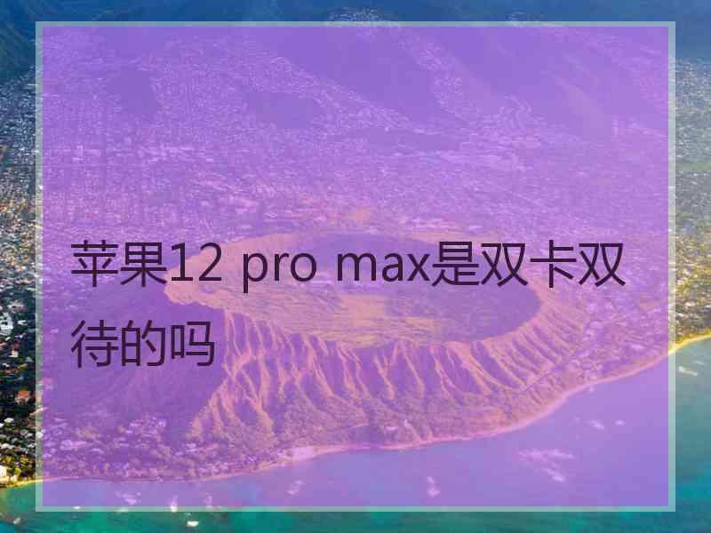 苹果12 pro max是双卡双待的吗