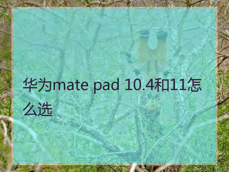 华为mate pad 10.4和11怎么选