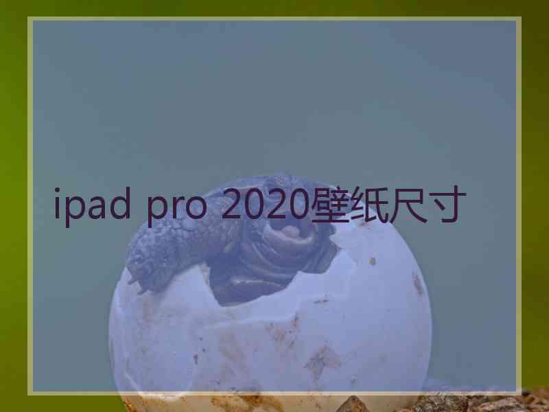 ipad pro 2020壁纸尺寸