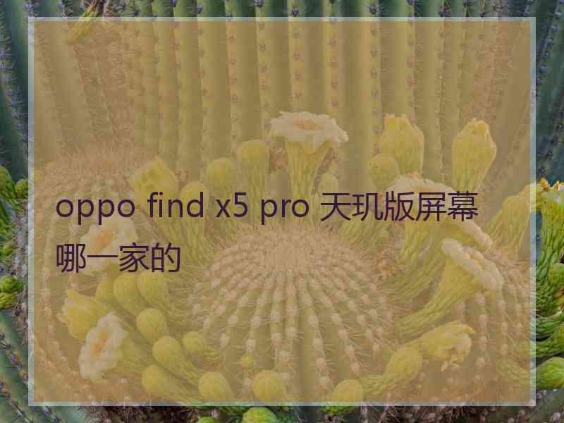 oppo find x5 pro 天玑版屏幕哪一家的