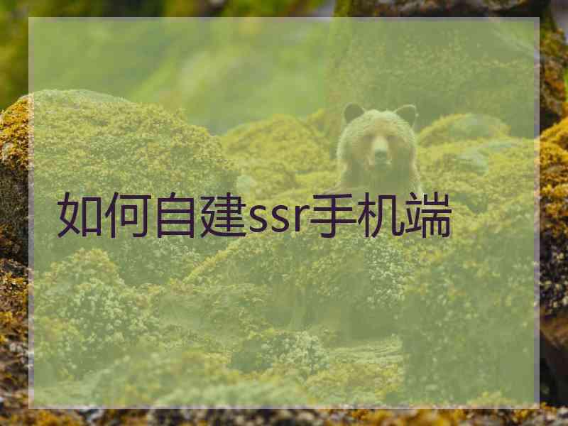 如何自建ssr手机端