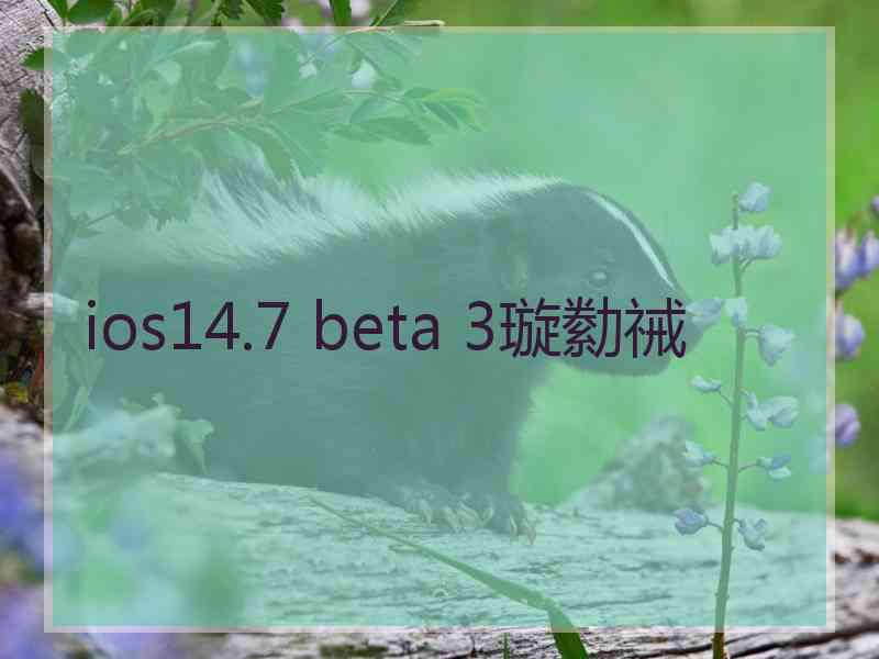 ios14.7 beta 3璇勬祴