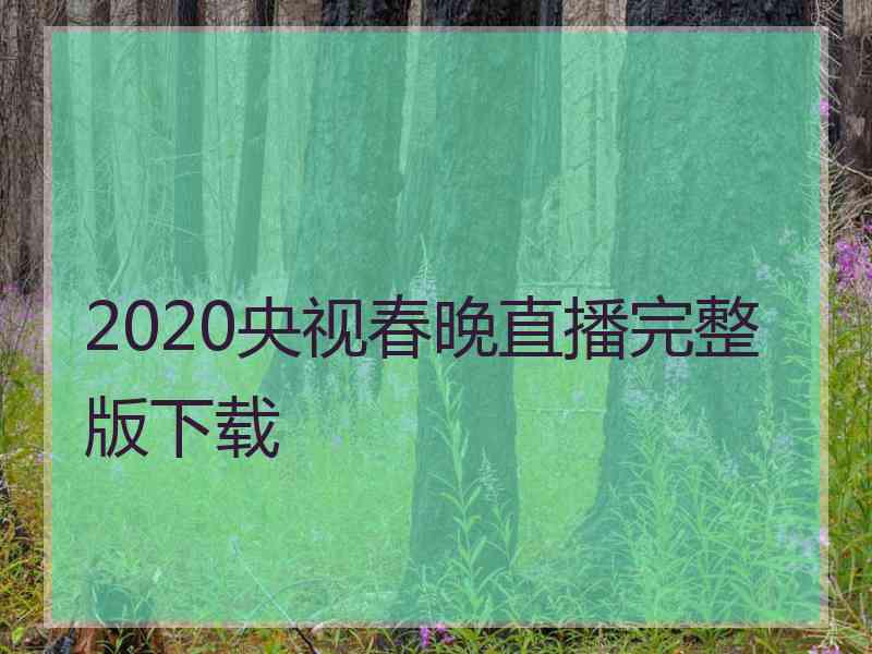 2020央视春晚直播完整版下载