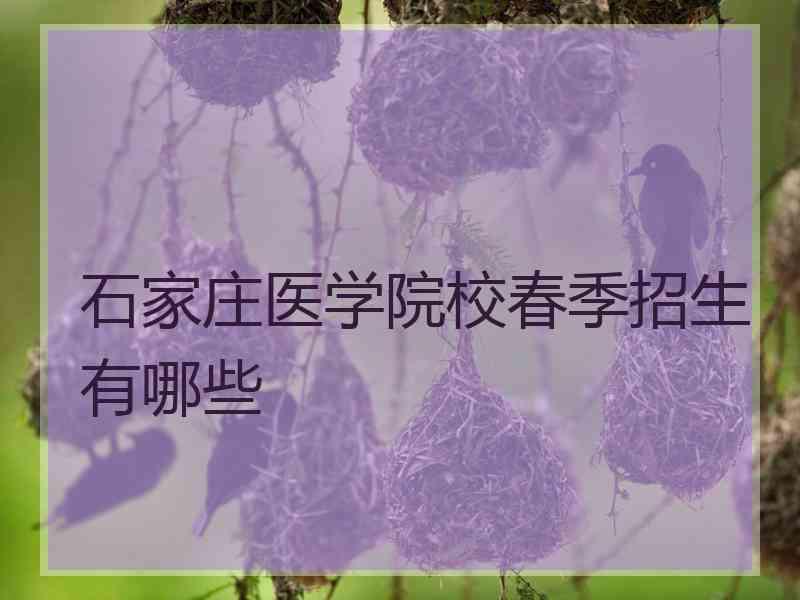 石家庄医学院校春季招生有哪些