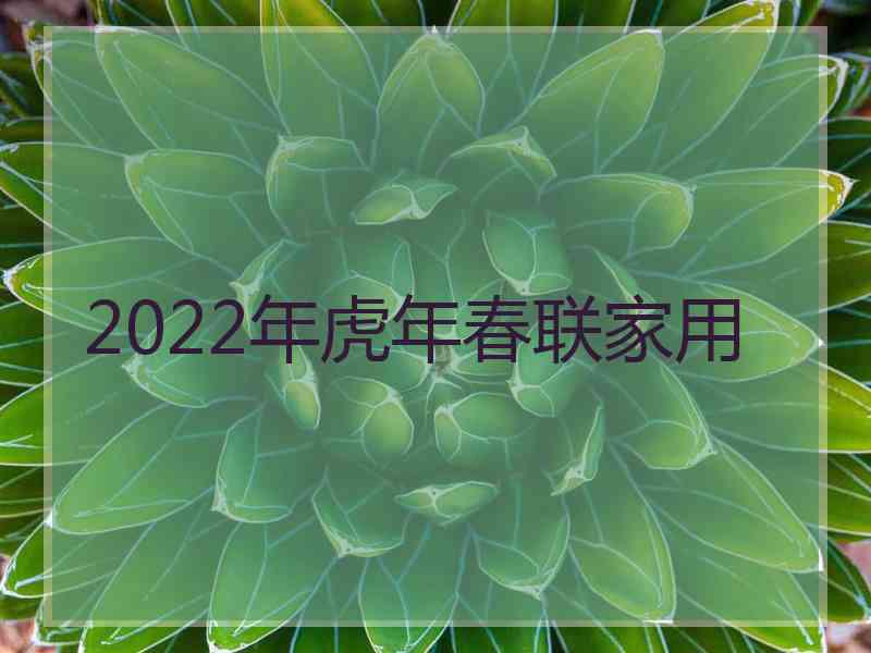 2022年虎年春联家用