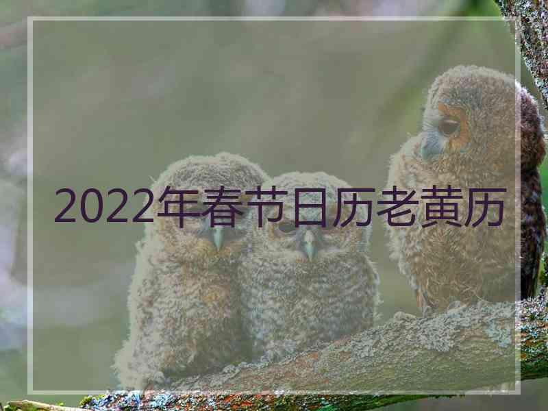 2022年春节日历老黄历